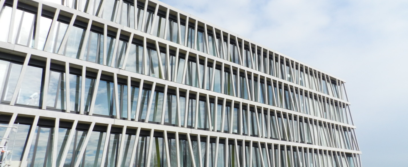 FABRINO Betonfassade abgesäuert Betogel 4