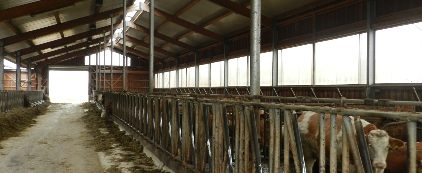 FABRINO High Grade Faser Bewehrung Milchvielstall2
