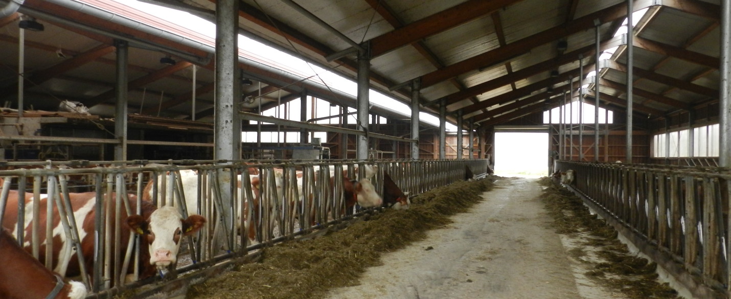 FABRINO High Grade Faser Bewehrung Milchvielstall4