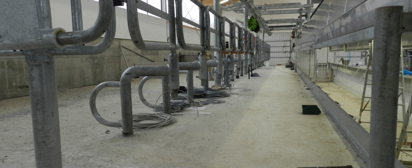 FABRINO High Grade Betonboden Landwirtschaft Milchviehstall Kosteneinsparung durch Kunststofffaser