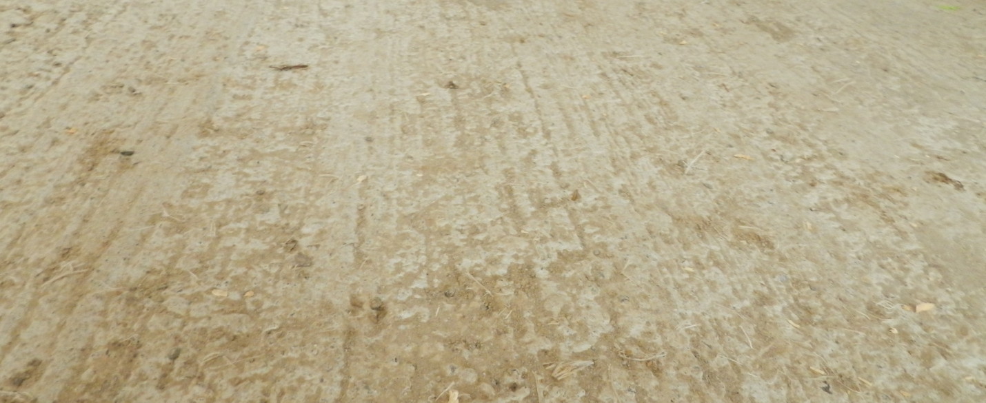 FABRINO High Grade Betonboden Landwirtschaft Milchviehstall Kosteneinsparung durch Kunststofffaser 15