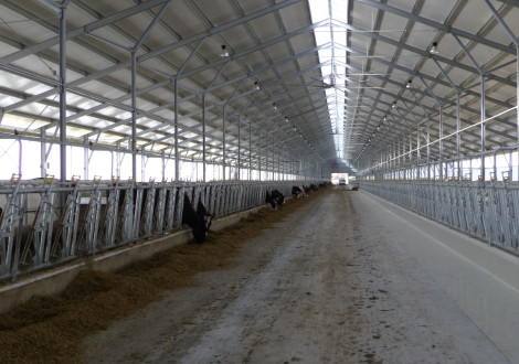 FABRINO High Grade Hochleistungsfaser Beton Landwirtschaft Milchvieh