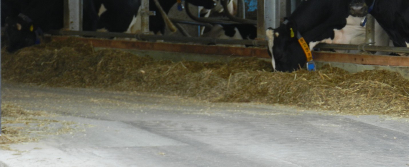 FABRINO High Grade Jungbullenstall Kunststofffaser mit Statik Landwirtschaft 2