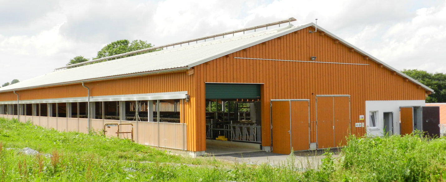FABRINO High Grade Milchviehstall mit Kunststofffaser Futtertisch Liegeflächen Schiebergang 2