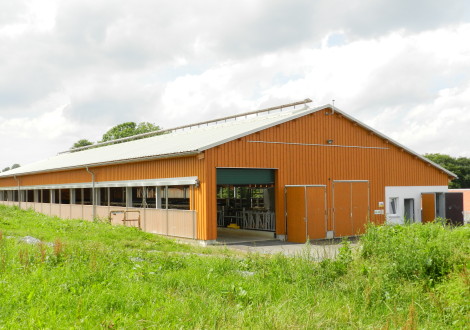 FABRINO High Grade Milchviehstall mit Kunststofffaser Futtertisch Liegeflächen Schiebergang 2