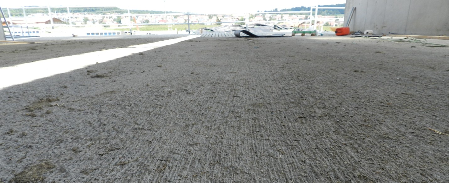 High Grade Milchviehstall mit Futtertisch beschichtet  (2)