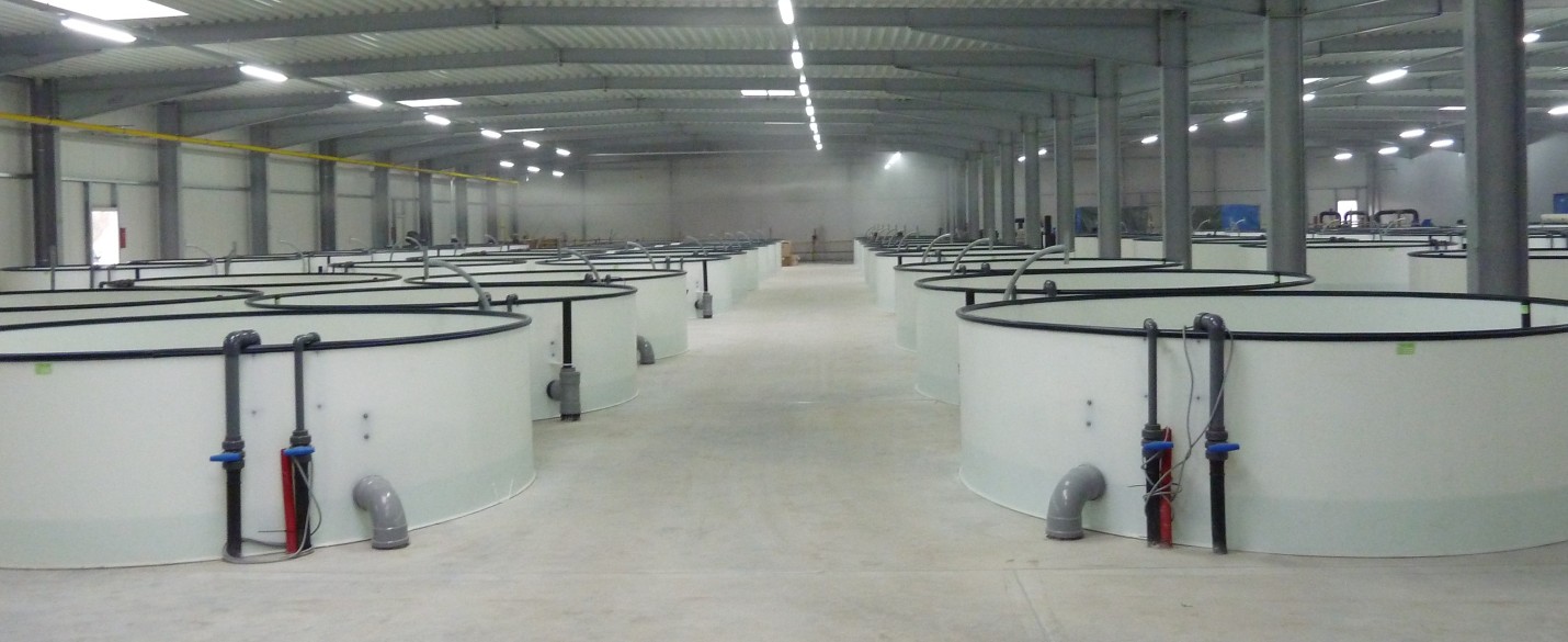 Industrieboden mit High Grade Faserbewehrung (2)
