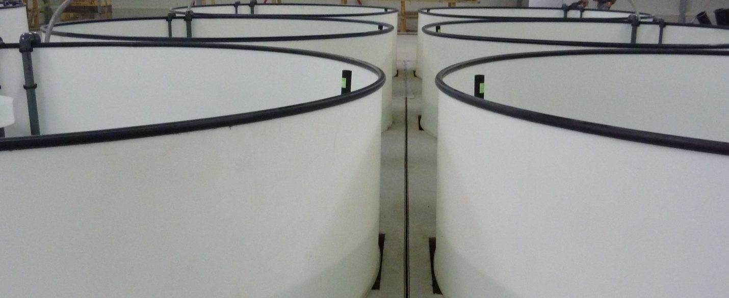 Industrieboden mit High Grade Faserbewehrung (4)