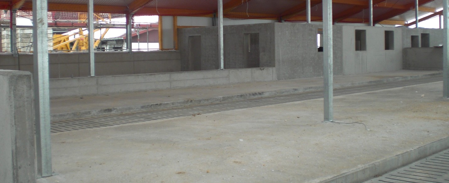 Kuhstall mit High Grade Faser Bewehrung (1)