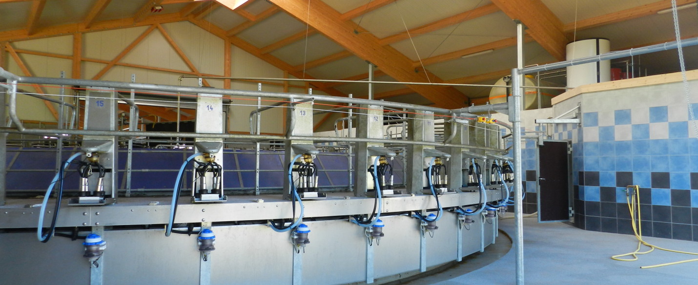 Milchviehlaufstall und Melkkarussel High Grade (1)