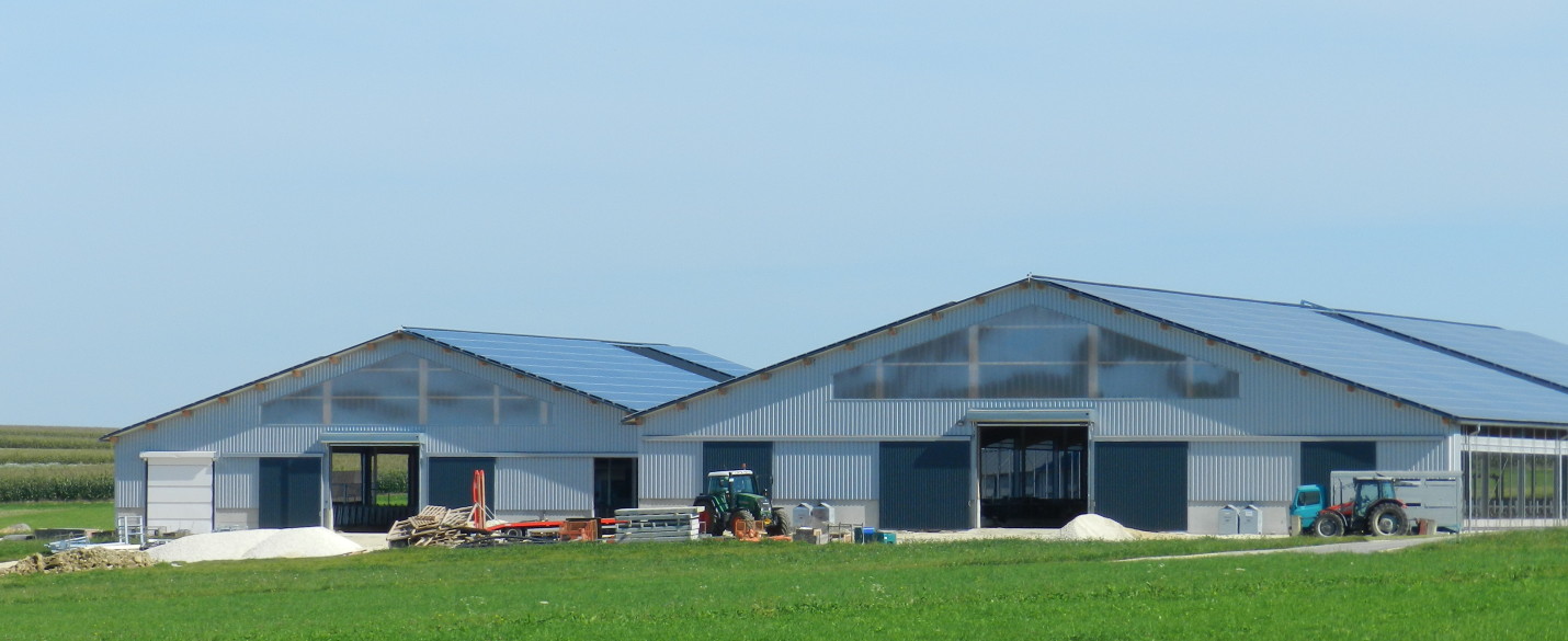 Milchviehlaufstall und Melkkarussel High Grade (2)