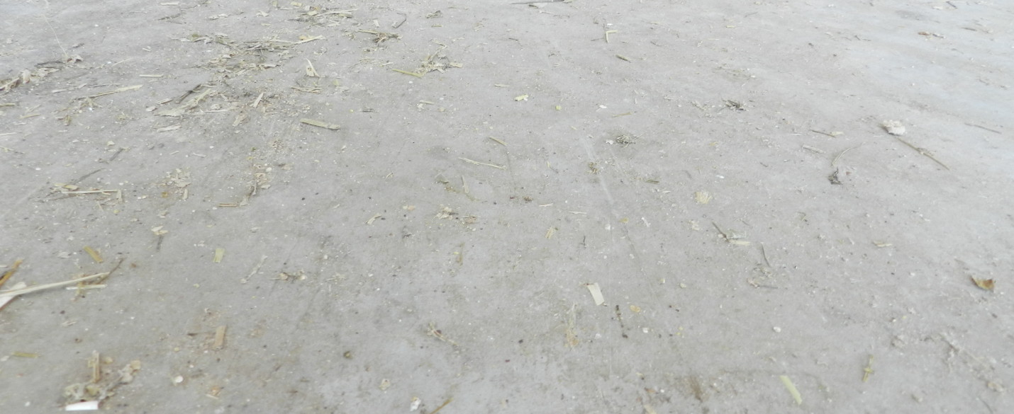 Milchviehlaufstall und Melkkarussel High Grade (4)